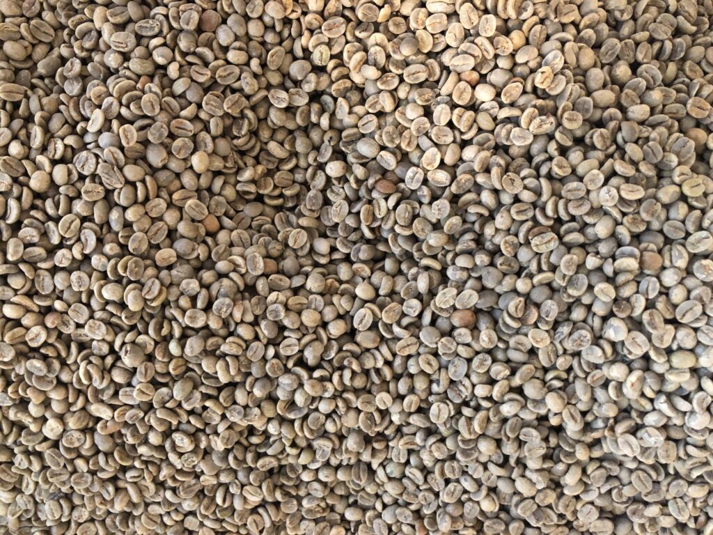 Those Guys Coffee Co Good Coffee; No Fuss